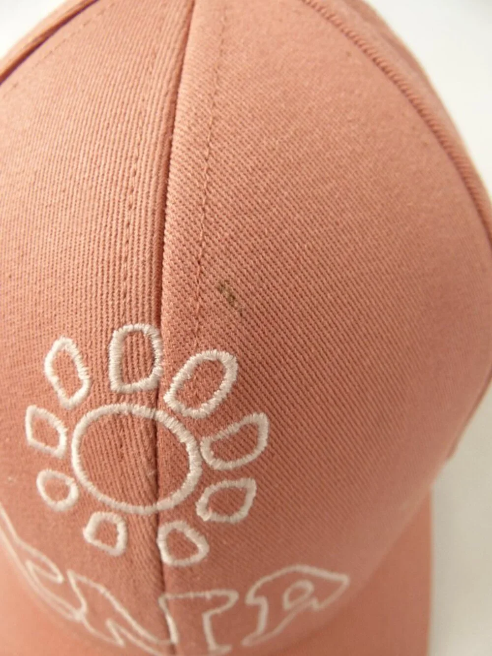 Aritzia Tna Pink Baseball Cap
